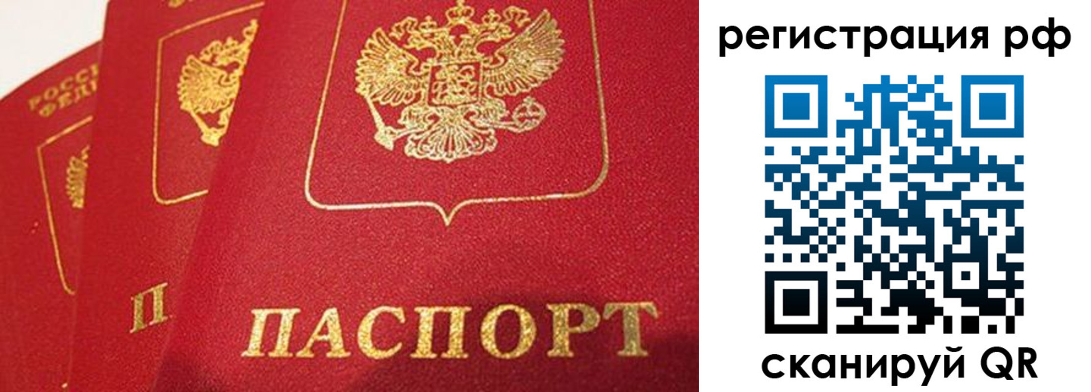 прописка поиск в Мурино
